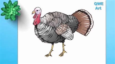 live draw turkey|Turki 4D .